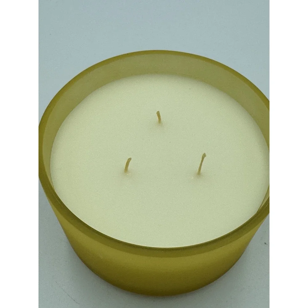 Pier One Imports 3 Wick Candle Honeysuckle Rare Discontinued‎ Scent New 14oz